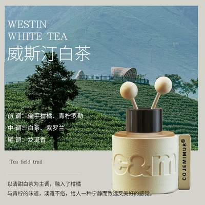 Car-Mounted Aromatherapy Essential Oil, Perfplant seat - lightly-scented-white-tea-elegant-temperament