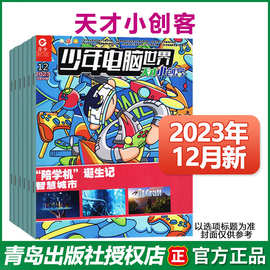 天才小创客杂志2023年1-12月  24年起改名为探索号电脑知识