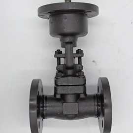 Z941H-25C锻钢法兰闸阀图片