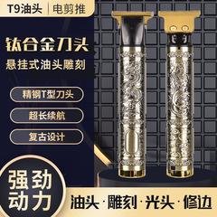 Electric clippers cross-border hair trimmer USB charger head shaver electric razor head trimmer hair remover depilator pet grooming