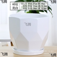 ��ƿ�մɷN�������ֵ��ƿ�߼��л�Ƥ�m���X����軨��ح�߿�