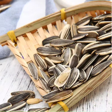 ǢǢԭζ108g ӹζ֨ ÿՈԹʳС