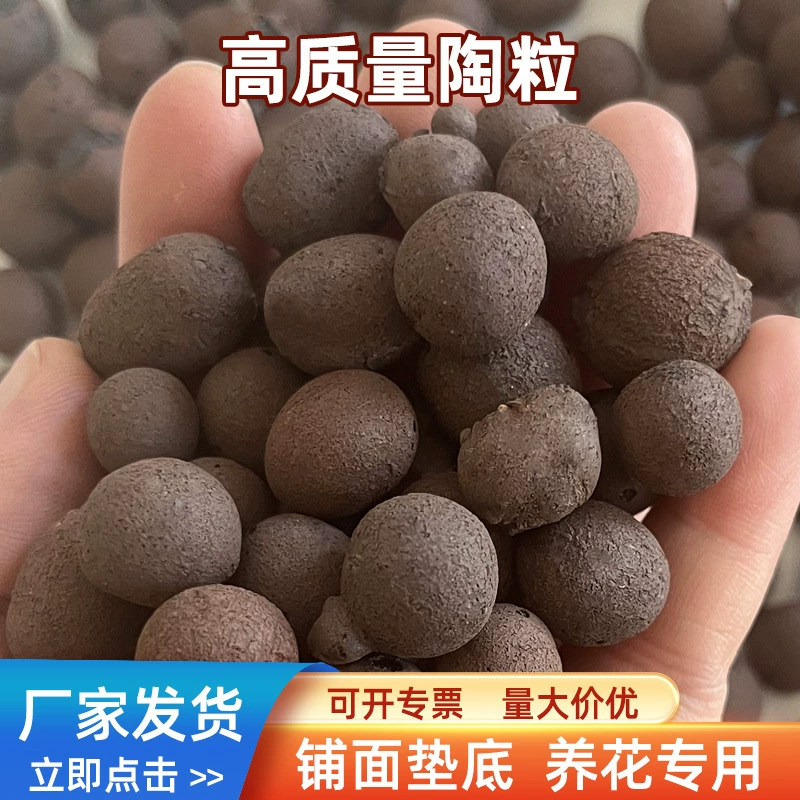 Дно горшечного садоводства керамзит дышащее, водопроницаемую и мясистую поверхность предотвращает засыпку из гнилых корней в ванной комнате