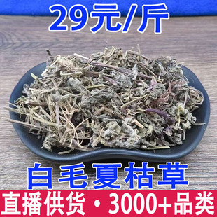 ��ë�Ŀݲ� ��ǲ� ɢѪ�����l���l