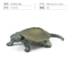 T15478 Japanese Terrapin 9g