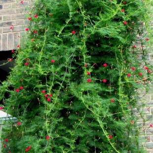 ���~�\�}���N��ͥԺ����ֲ������ǻ������̨�ļ��׷N���_������