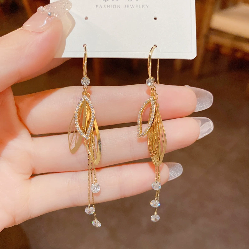 Long goods with tassels, design earrings, internet celebrity, fitted