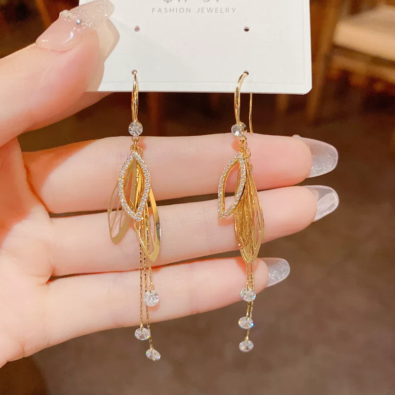 Long goods with tassels, design earrings, internet celebrity, fitted