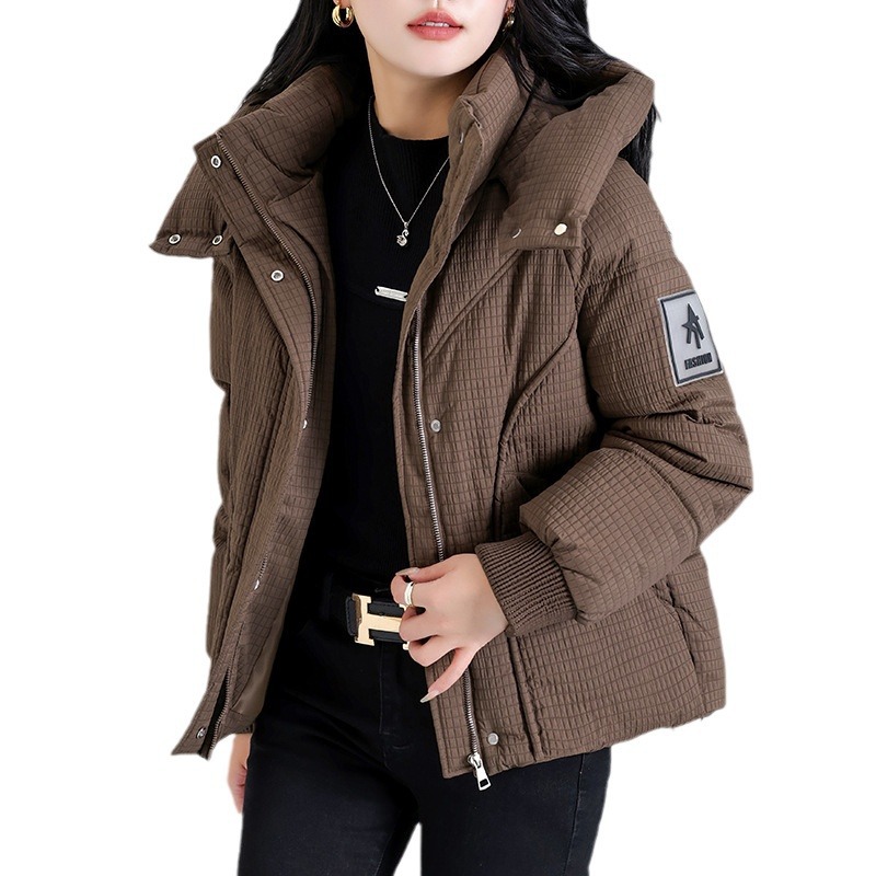 2024 invierno de algodón encapuchado chaqueta de plumón de mujer literatura de color sólido pequeño cierre de pan caliente ropa de algodón image 6