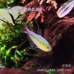 �Ꭷ�^�p�~�߶˟����~���ҟ�ꖹ����ҟ����ӟ�
