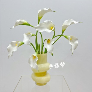 EVA�R��ɏ�ָ�ܛ�z���ٻ��R��ɏ �Ҿ��b廨��c�b��b����ֲ�q