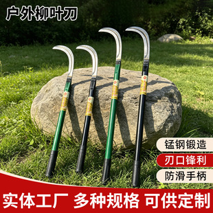 �L�����~����ݵ�С�����С砵����i�砵������r�ø�����