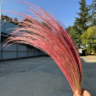 ���䓲����������r��DIY���ļҾ��b廨��c������������L