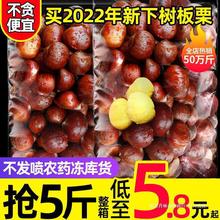 �����䡿�������r���Fժ���|����5�������Fȥë�����������_��