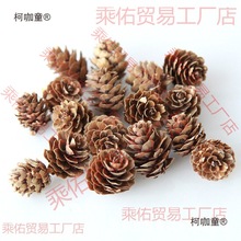 �����M��ľƬ���~�͹ŵ��߸ɻ��b�ɹ��}�Q�b[��diy�׃���̫��