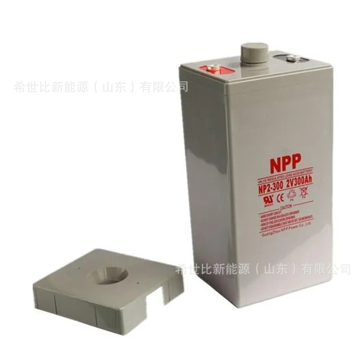 NPP耐普蓄电池2V300AH通信机房基站NP2-300直流屏UPS/EPS电源配套