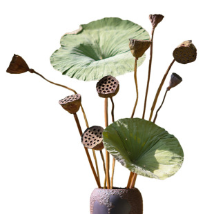 ɏ��ɻ������滨�[����Ȼ���~����ʽ�b���Udiy�廨���Ϲ�ź�U