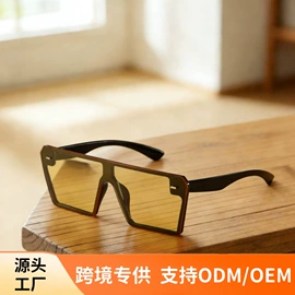 太阳镜;框架眼镜