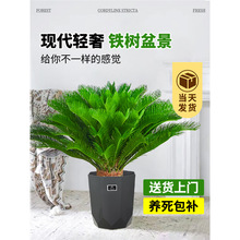 �F�����Դ��;Gֲ�F���҃ȿ͏d�����ļ������͟��׻���B�Gֲ�辰