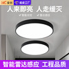 Induction Ceiling lamp stairs Aisle lights Corridor Corridor light infra-red human body radar Induction lamp intelligence acoustic control lamp