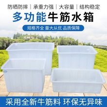 zͰòBͰȾţˮƵ﷽Ͱ