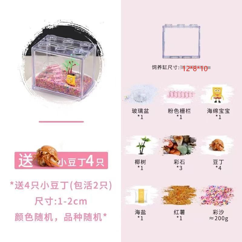 寄居蟹摆摊饲养套装套迷你造景小套盒好养易活学校夜市饲养套装|undefined