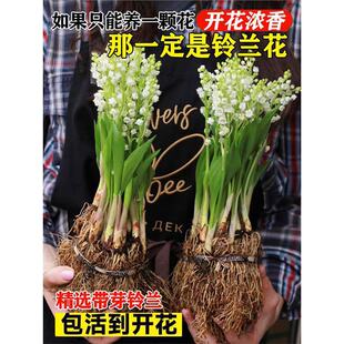 ��m���玧ѿ��������ֲ��N���M���ͺ��҃��⻨�ܾGֲ�ļ��_��