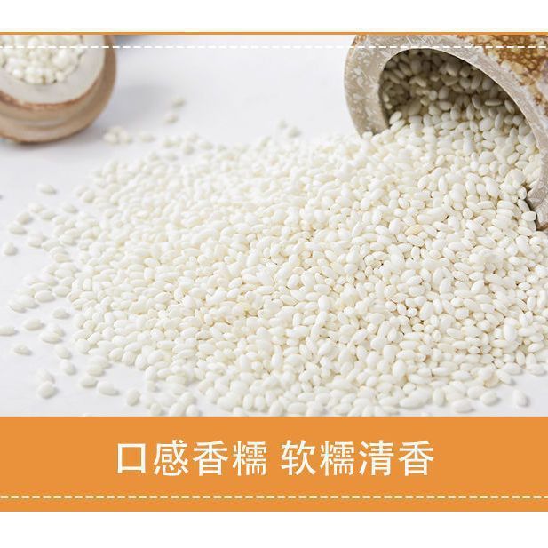当季新米东北圆糯米5斤新鲜优质香白江米糯米粽子非10斤1斤|undefined