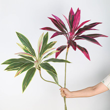 �����֧�콶�����F�����ֲ�������쾰���˽�ɢβ���Gֲ��������