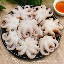 【顺丰包邮】福建东山岛八爪鱼鲜活冷冻短腿小章鱼爆头海鲜优质