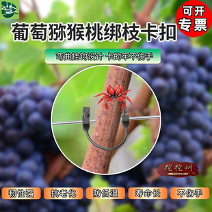 ���ѫJ���ҽ�֦�����n���{ֲ��̶��۴���ˮ���߲������@ˇ����