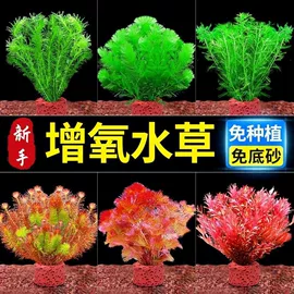 收纳架;厨房置物架;收纳盒