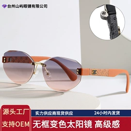 太阳镜;框架眼镜;眼镜盒/包