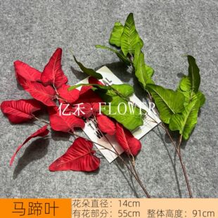 �����Y�R���~ ��ˇ��c���Ż��ĵ�픾Gɫ�ٻ�ɭϵ�Gֲ���滨��