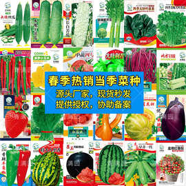 批发春季蔬菜瓜果种子青菜生菜豆角玉米西瓜茄子西红柿辣椒等种籽