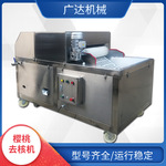 全自动去核机 樱桃去核设备   厂家直发  不锈钢水果脱核机