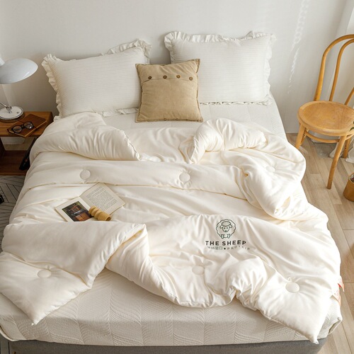 Winter cashmere protein soybean fiber thickened spring and autumn double-boost protein warm double warmth double-layer duvet core