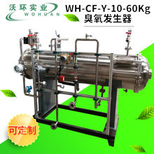 南京厂家定制大型臭氧发生器 废气污水处理消毒器空气净化发生器