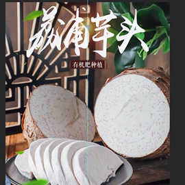 块茎类;速冻果蔬类;根菜类