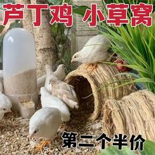 窝芦丁鸡鹌鹑鸽子下蛋搭建户外稻编圆形家用保暖室内宠物鸡窝