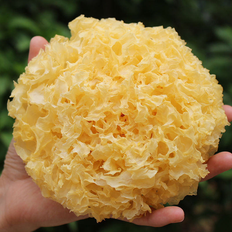 Special purchases for the Spring Festival Tremella Colloid 200g-500g Furuta Tremella dried food Fungus Tremella