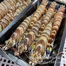 �߹��r����̖�Ź��r�������ܴ��r���r�r���ك����r�����r��D�_