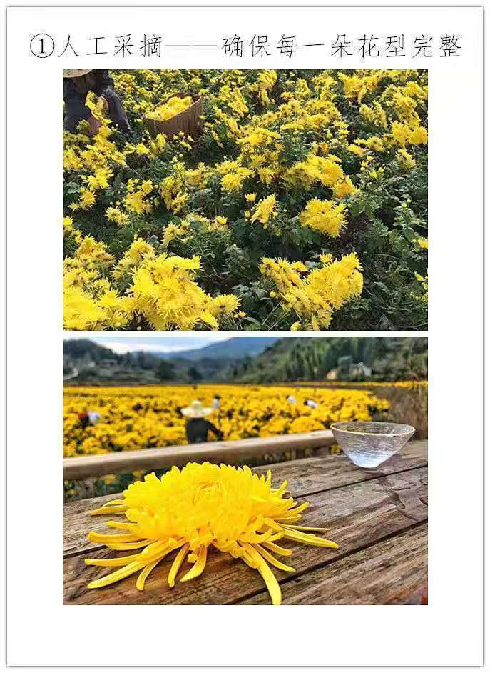 25be171a-8c70-4505-83a0-fe78a92a54da.jpe