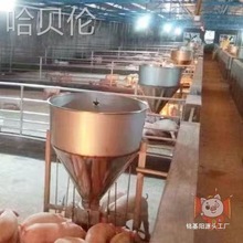 ͰιԄӲιiϲʲPʳԄӴιϙCi