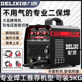 Delixi Multifunctional Gasless Secondary Welding Machine Ultra-Thin Household Industrial All-In-One Electric Welding Argon Arc Welding Multi-Purpose Welding