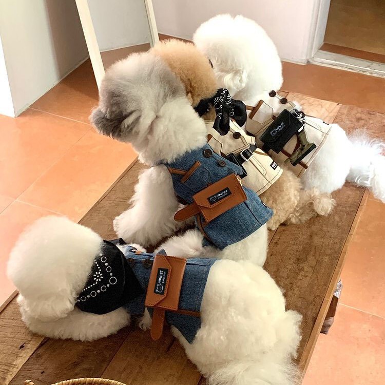 Korean Style Dog Clothes Spring and Summer Ins Style Vest suit Small and Medium Dog Teddy Panda Dog Pet Clothes