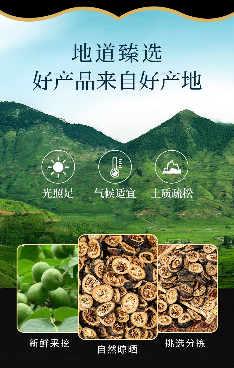Qing Pi (Citrus reticulata) — Dried Green Tangerine Peel, Food Herb for Tea & Decoction overview