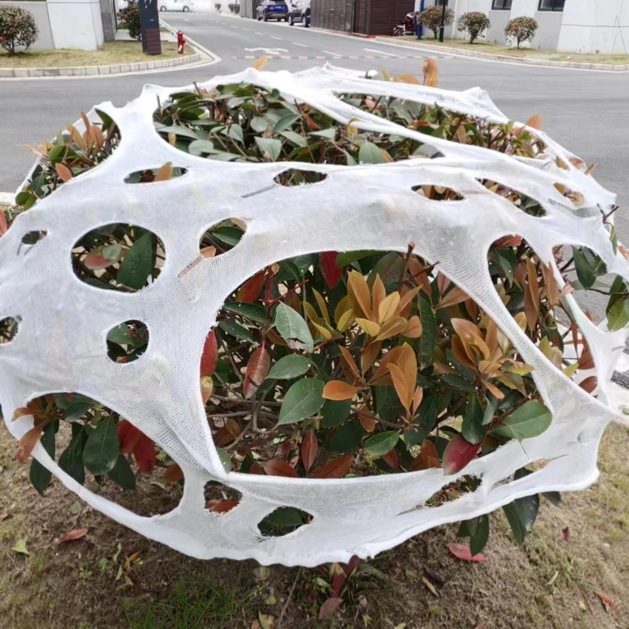 微信图片_20230415184745