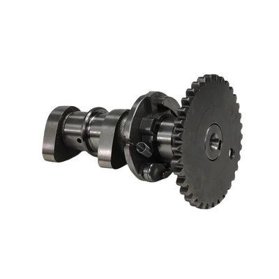 Motorcycle engine camshaft Crankshaft, camshaft