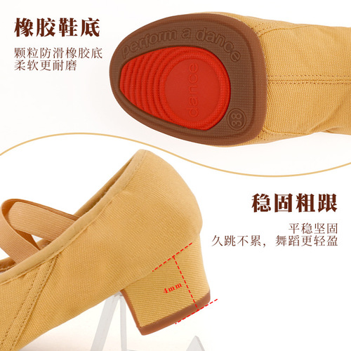Dance teacher shoes outdoor adult mid-heeled female belly classical ethnic modern dance practice without lace-up ballet dance